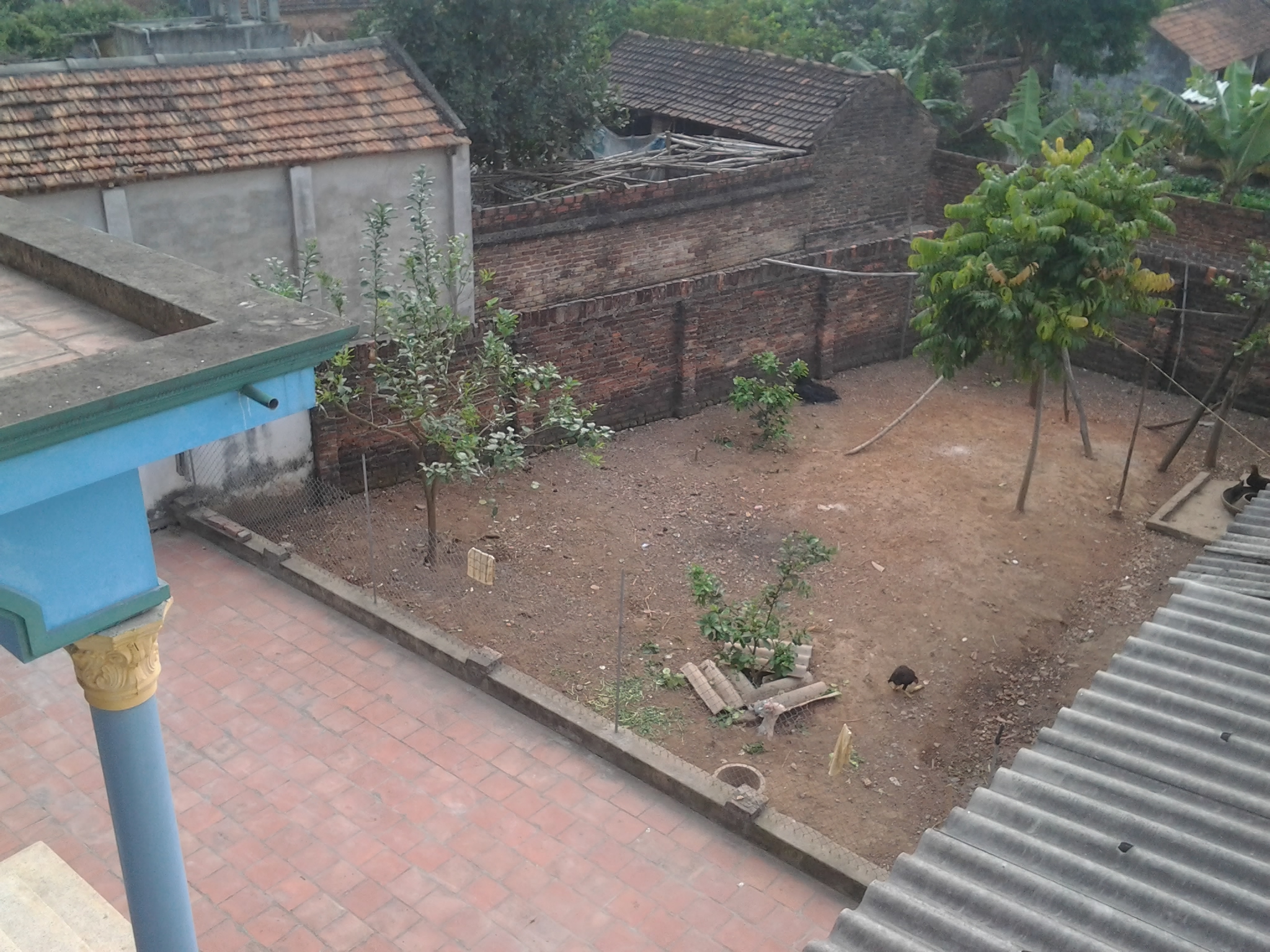 2015-01-02 11.11.35.jpg