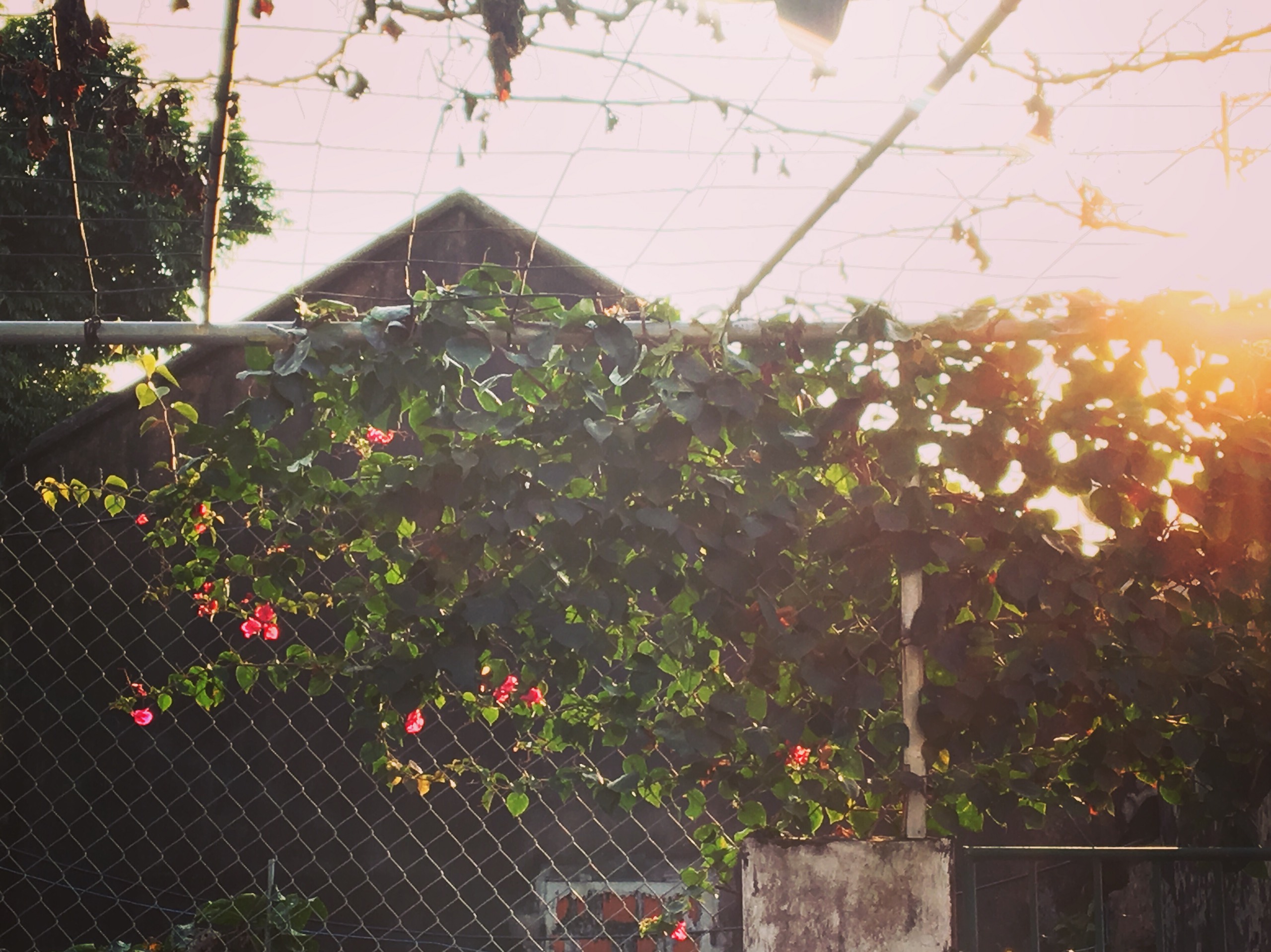 Sáng ngọt ngào! – A heart-warming story!