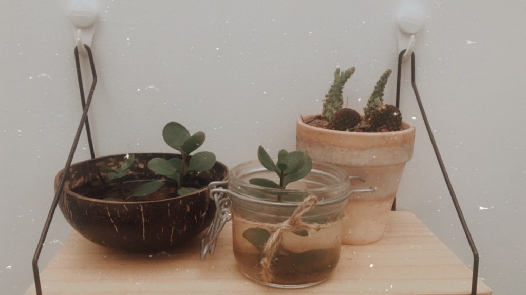 chuyện công việc –&nbsp;Host