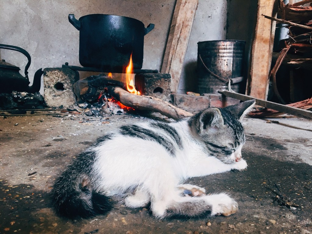 Bước chân trên con đường hòa&nbsp;giải