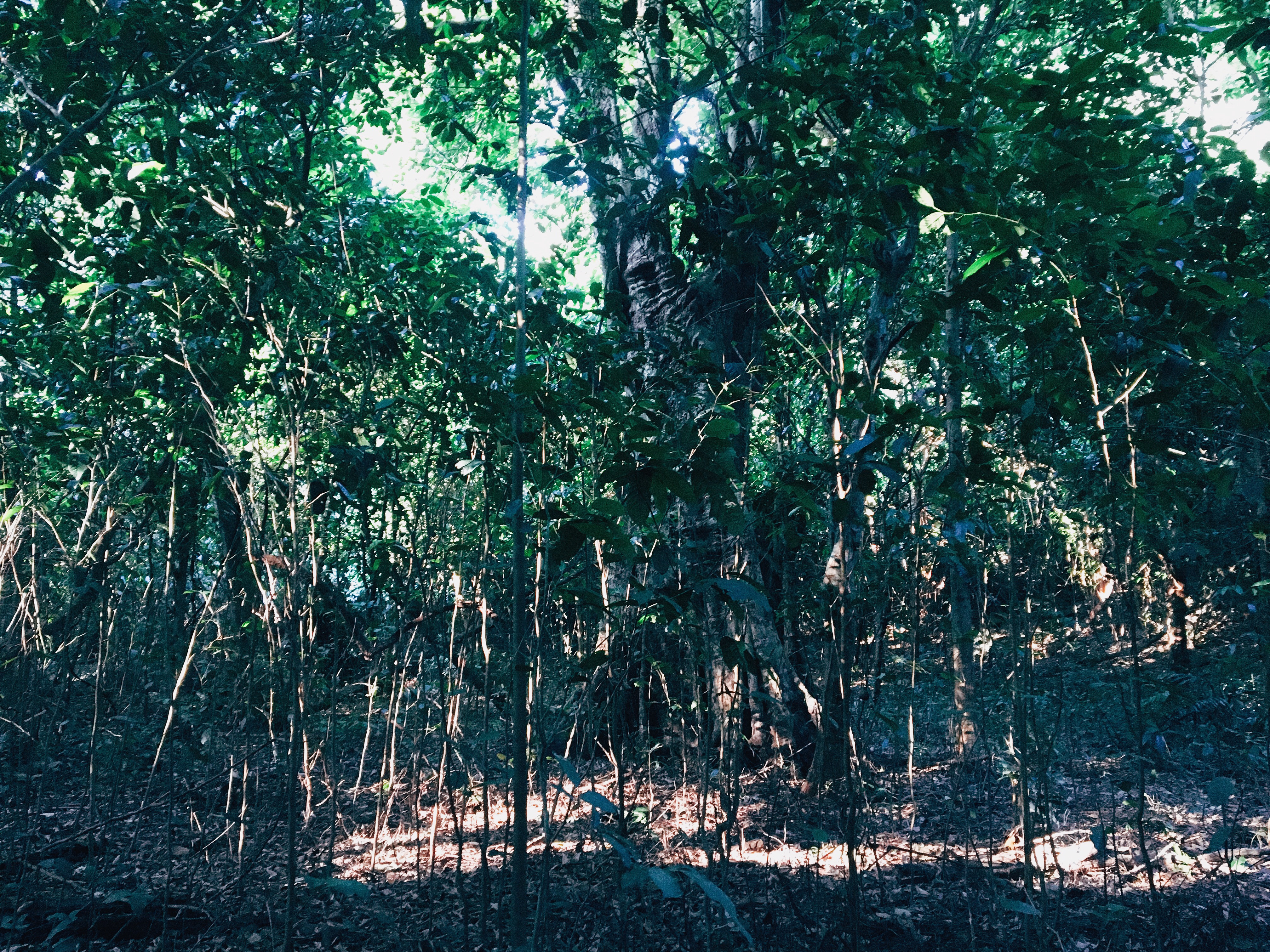 Sự một mình #solitude, với mình&nbsp;là…