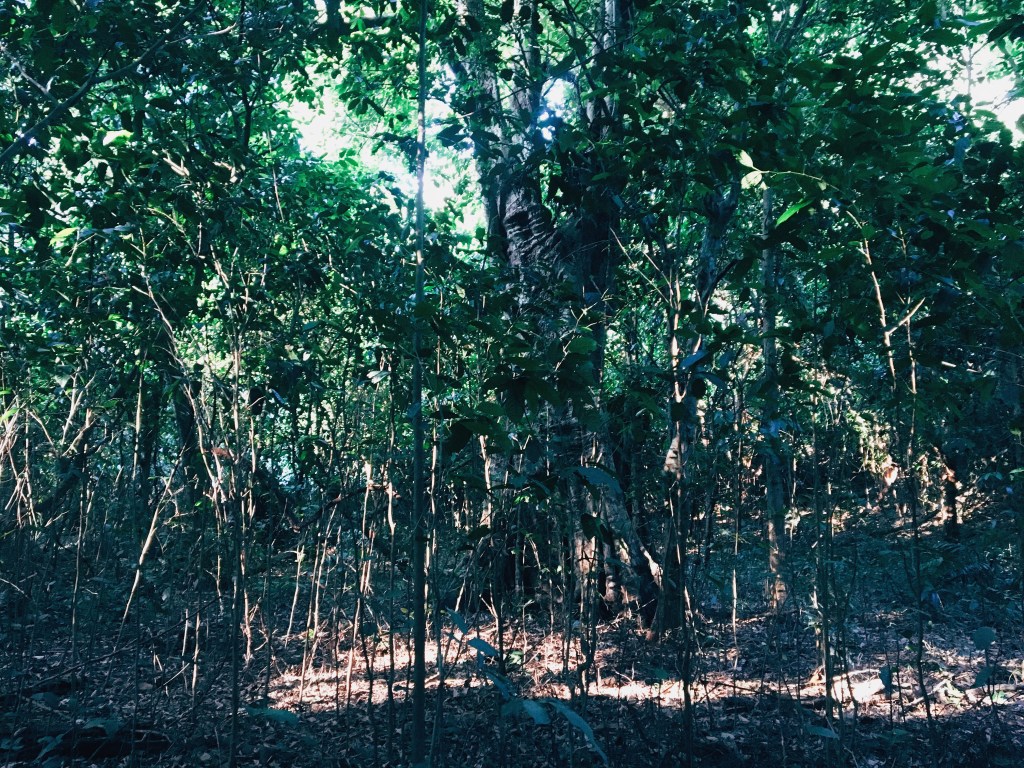 Sự một mình #solitude, với mình là…