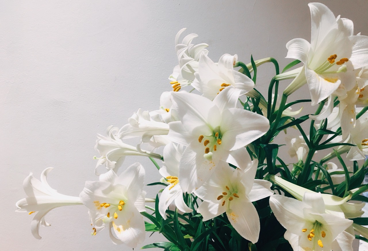 sẽ chẳng có ai có thể hiểu&nbsp;mình