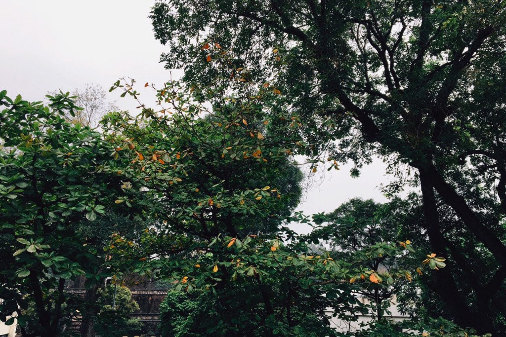 né tránh và chối bỏ, sợ hãi phải đối diện em bé bên trong. Làm việc với bản thân.