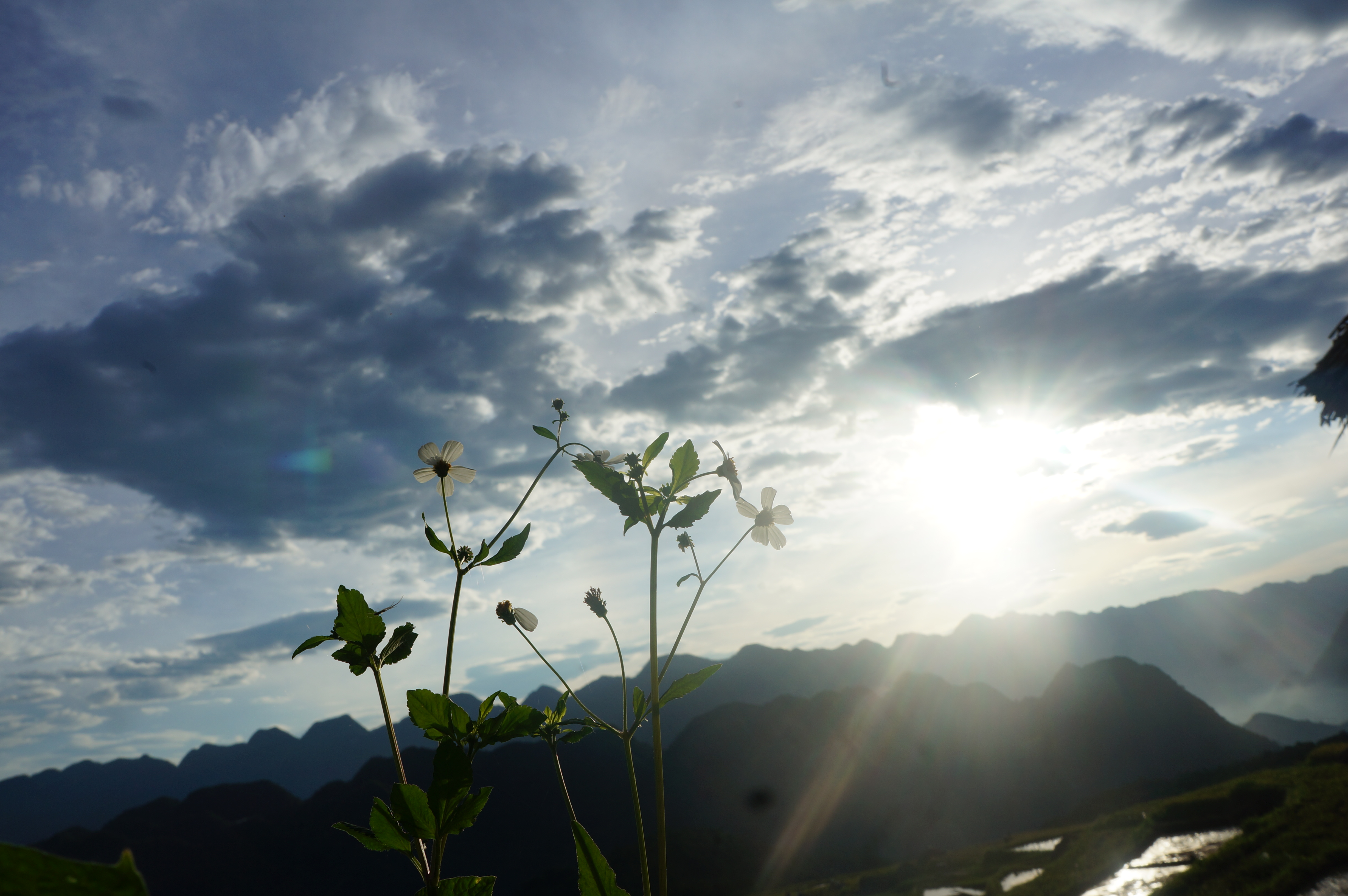 Yoga – một phương tiện thực tập