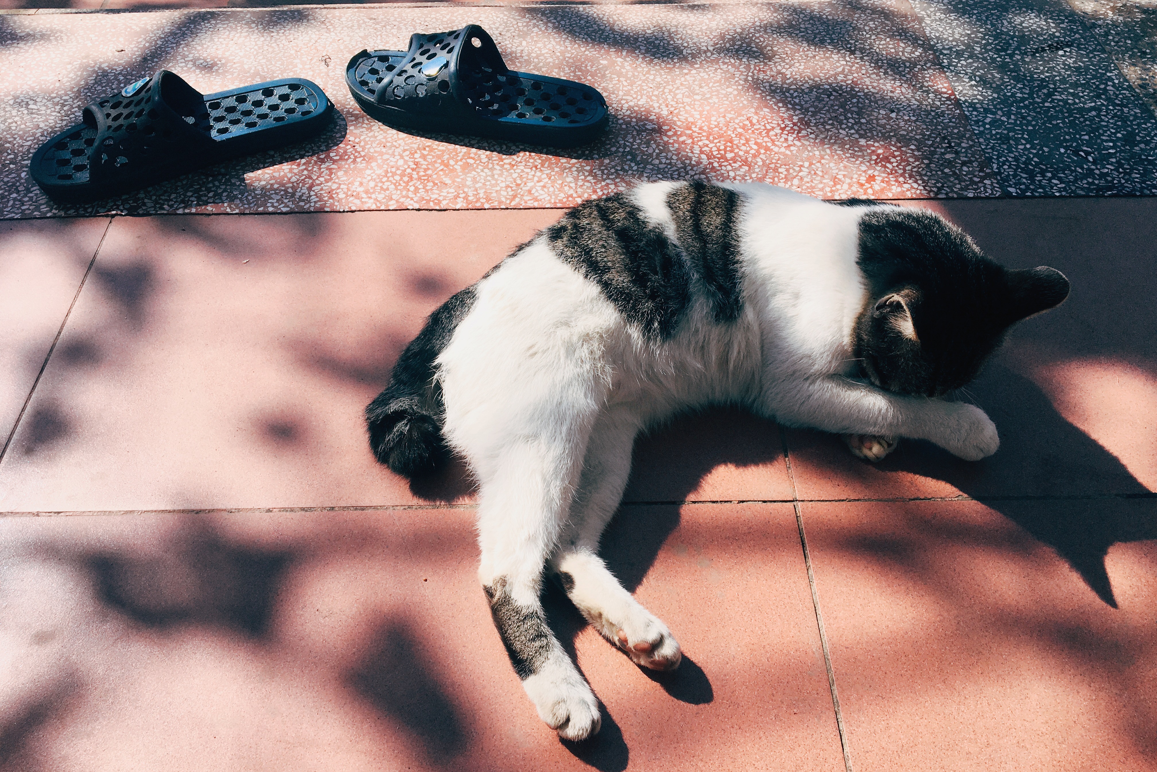 suy nghĩ của mình về Blog cá nhân này