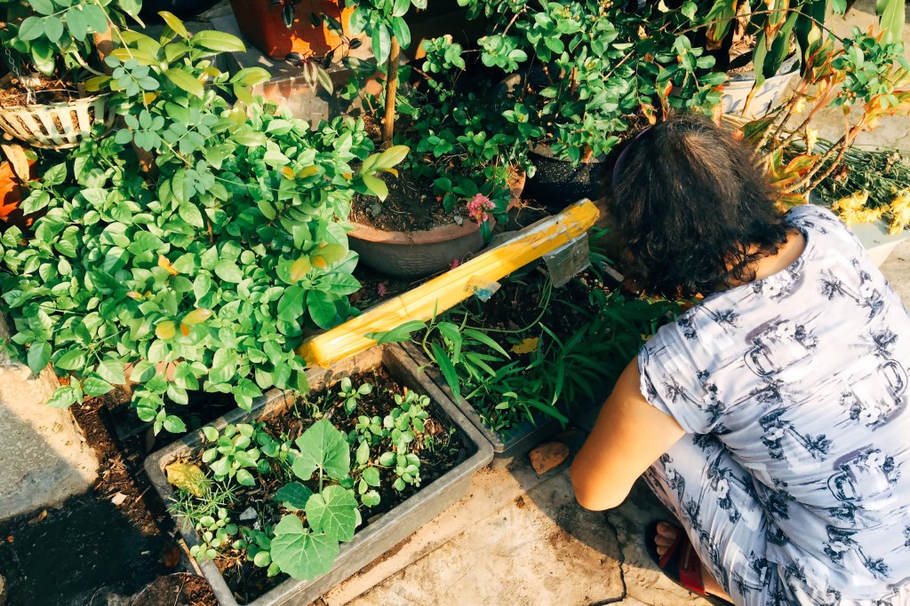 con đường học thiệt&nbsp;dài