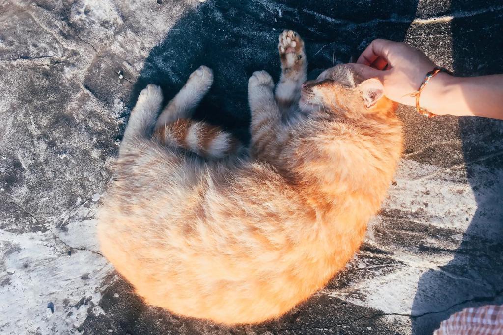 Protected: hà nội, một hành trình dài