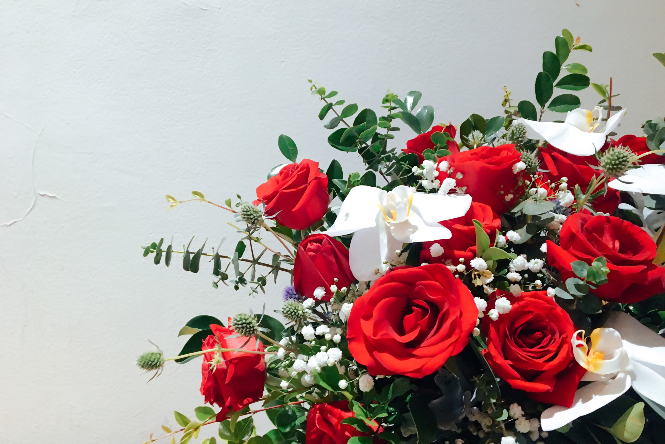 phụng sự, nghỉ ngơi và về bố, mẹ