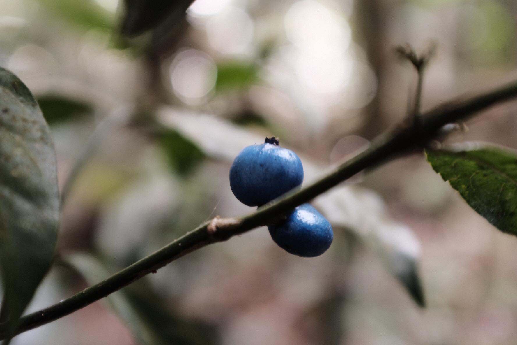 tạm biệt tuổi 26