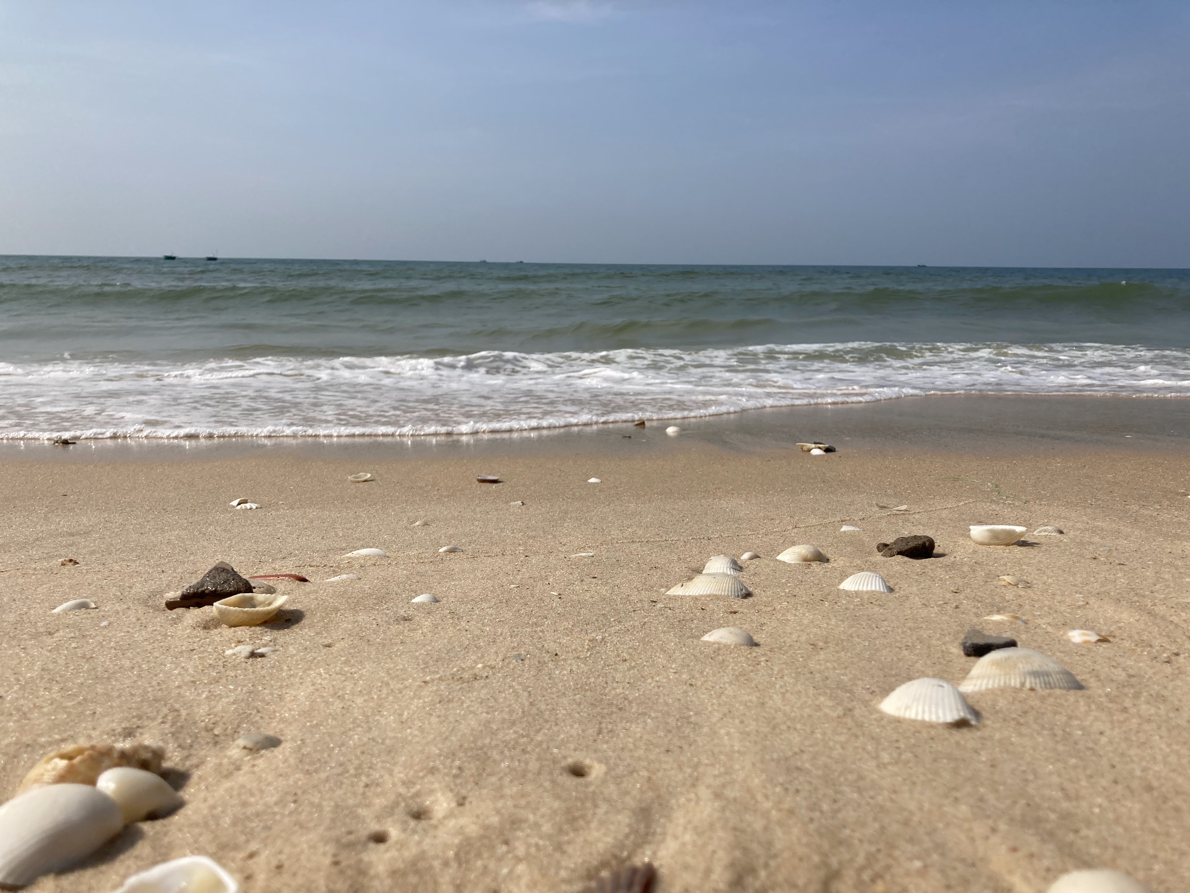 một vài dòng suy nghĩ, vương vấn sau khi xem Past Lives