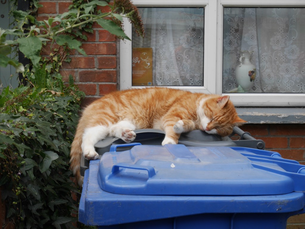 embrace my new personality and exercise patience, give things&nbsp;time