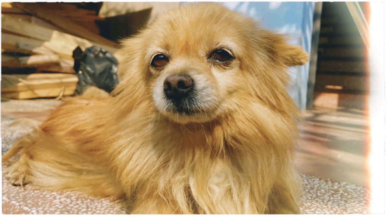 tuổi 30, và những niềm hy vọng trong&nbsp;đời