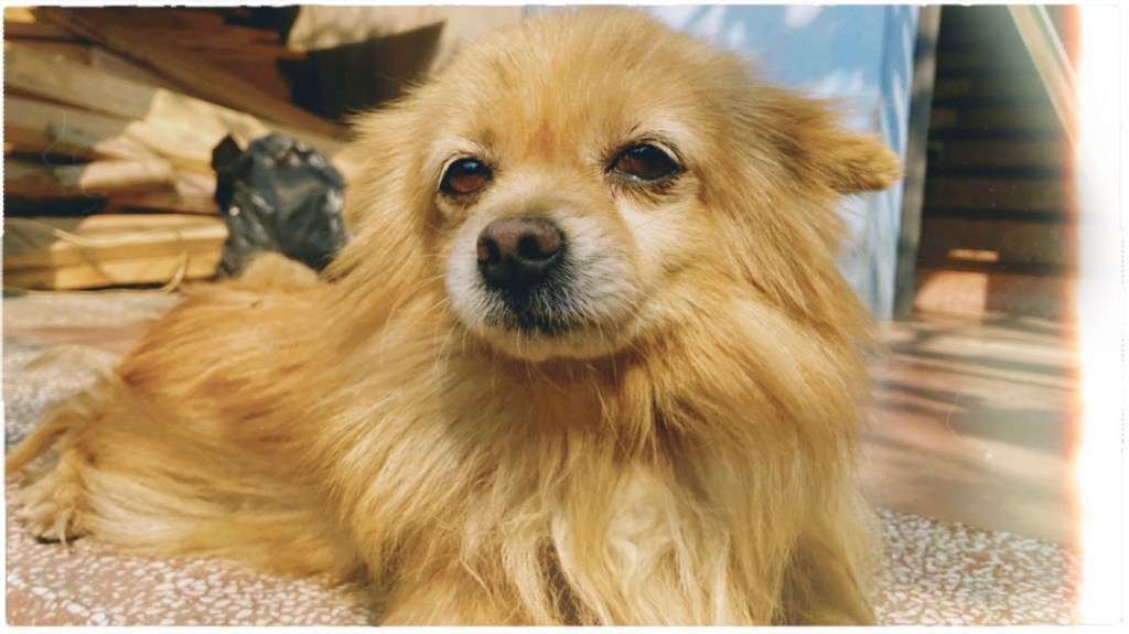 tuổi 30, và những niềm hy vọng trong&nbsp;đời