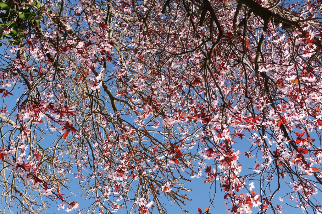 Moments of March in&nbsp;Ireland